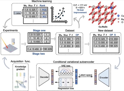 Spatial-adaptive active learning identifies ultra-durable and highly active catalysts for acidic oxygen evolution reaction