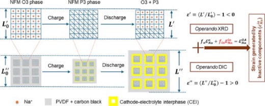 Dissecting the chemical strain in inactive components of sodium-ion battery cathodes